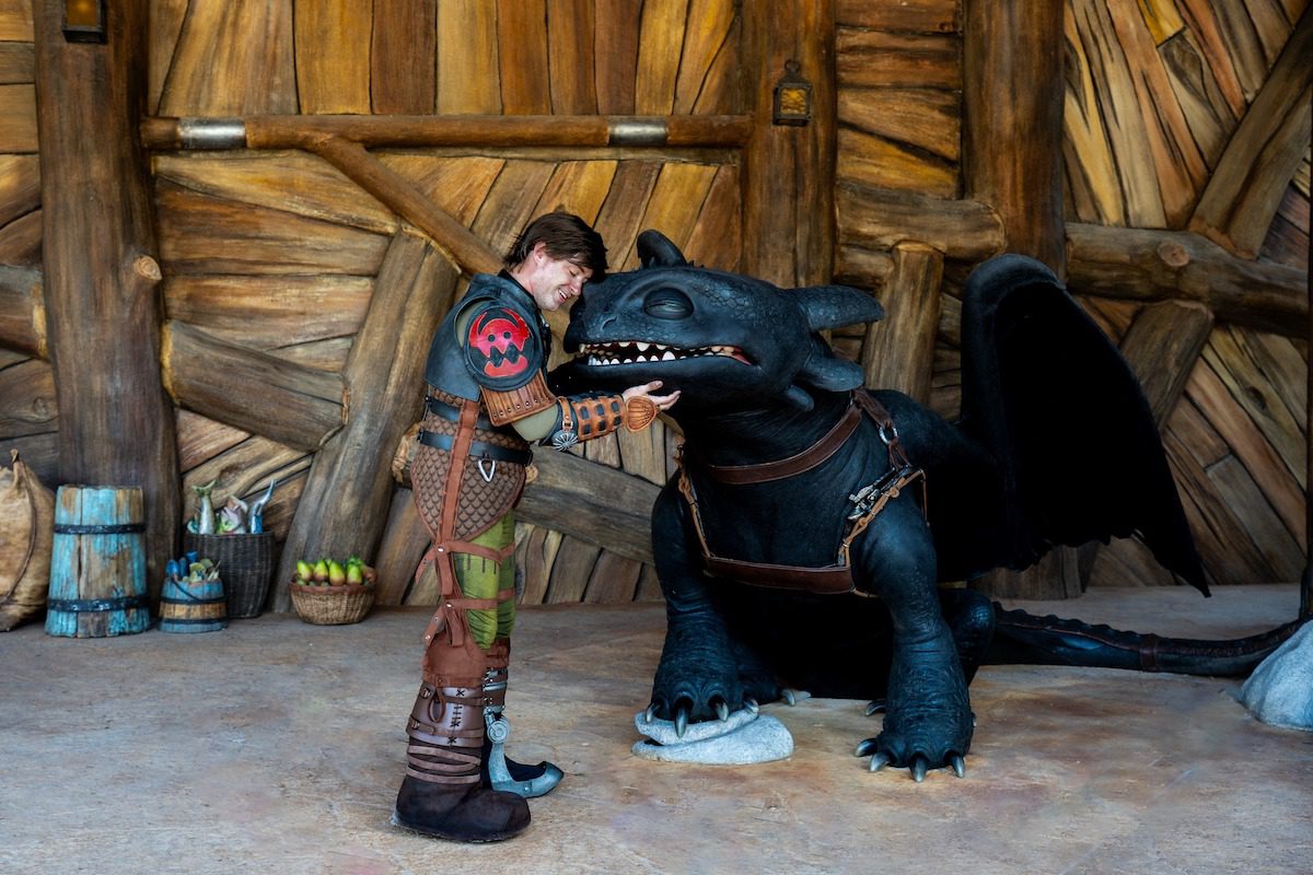 How to Train Your Dragon