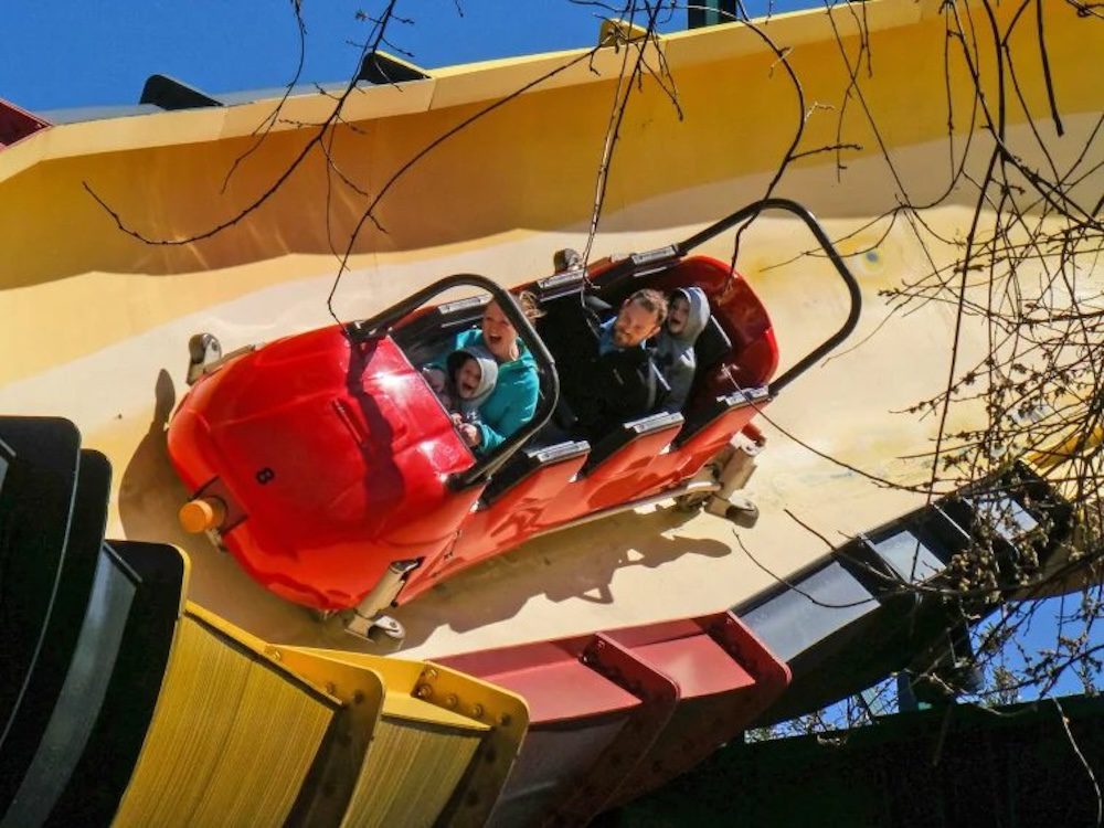Vibora coaster cars