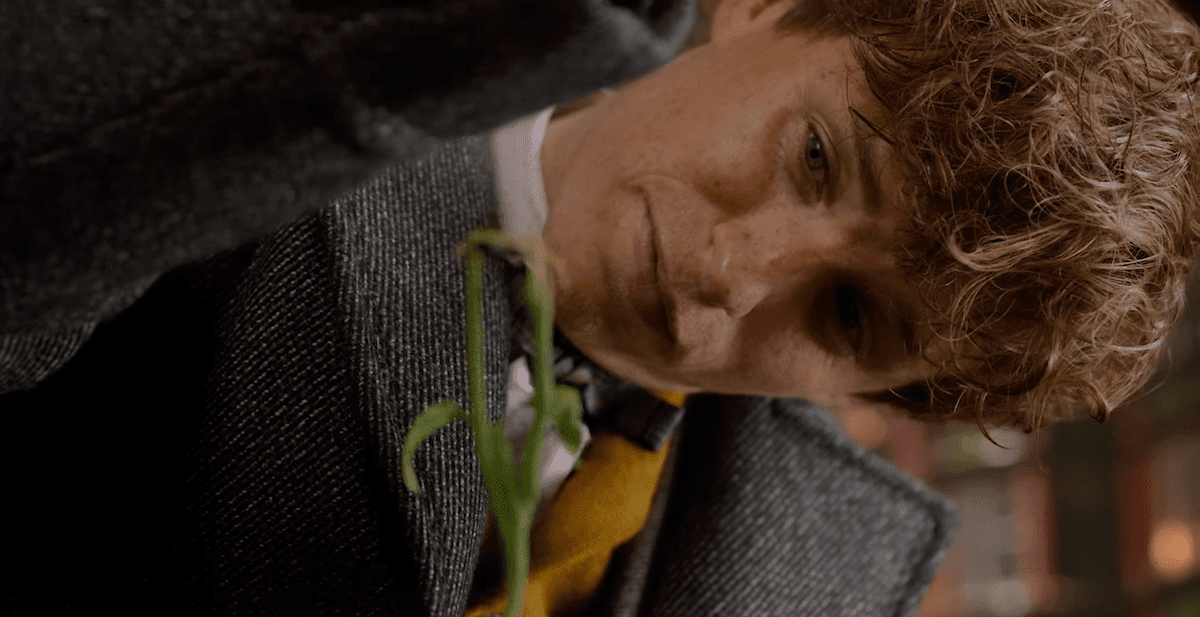 Newt Scamander