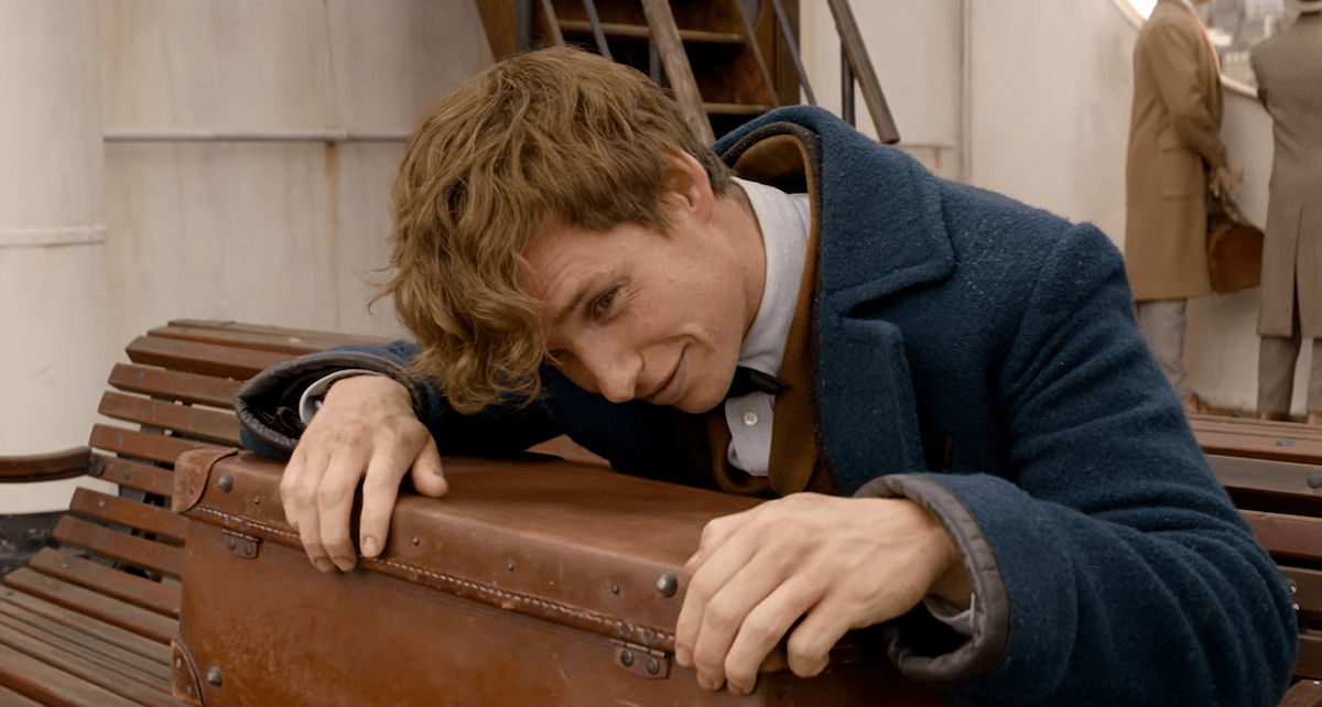 Eddie Redmayne as Newt Scamander
