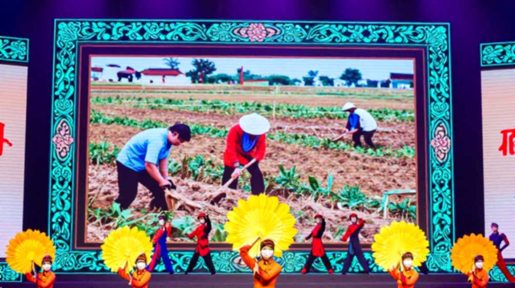 চৌদ্দ চেয়ার আর একটি নীরবতা: বাংলাদেশের কমব্যাট স্পোর্টসের অলিখিত খাতা