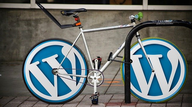 WordPress logo as type of a cycle.